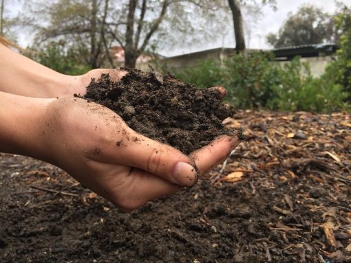 The smart Trick of Organic Fertilizer- Growing Tips Article That Nobody is Discussing