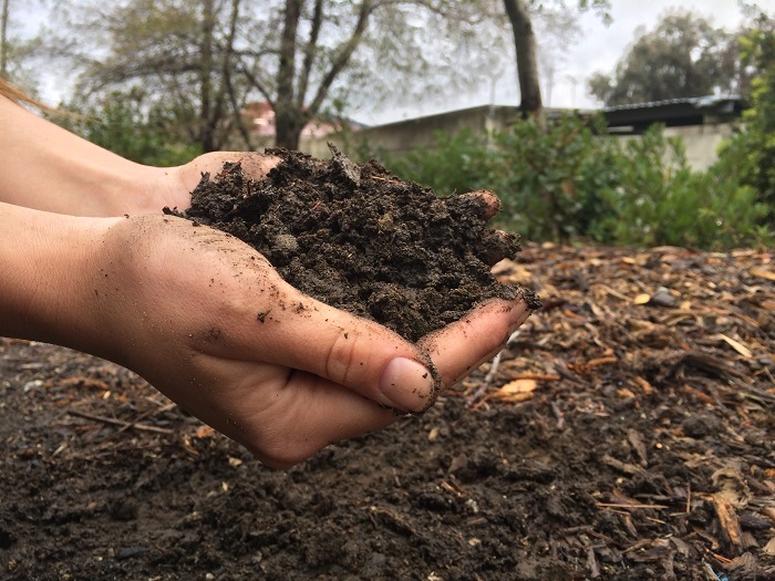 Natural fertilizer cheap
