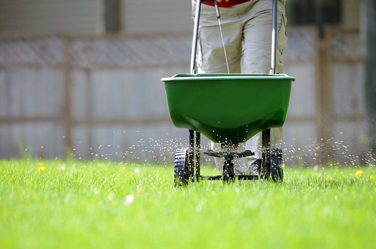 Slow release fertilizers for lawns typically have a higher nitrogen content