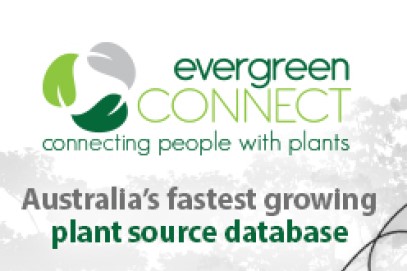 evergreen_connect