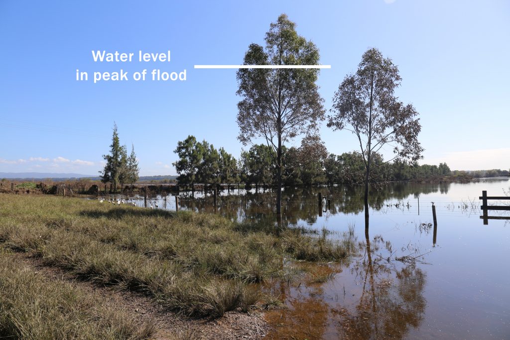 Shara lomandra 2021 flood richmond indicating peak water level