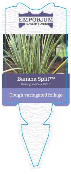 Banana Split Plant Label 1