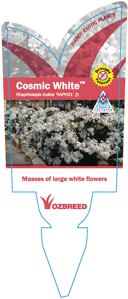 Cosmic White Label