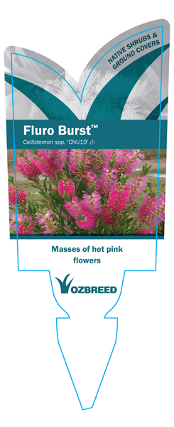 Fluro Burst Label