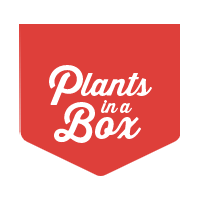 Plants in a box