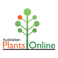 Plants online
