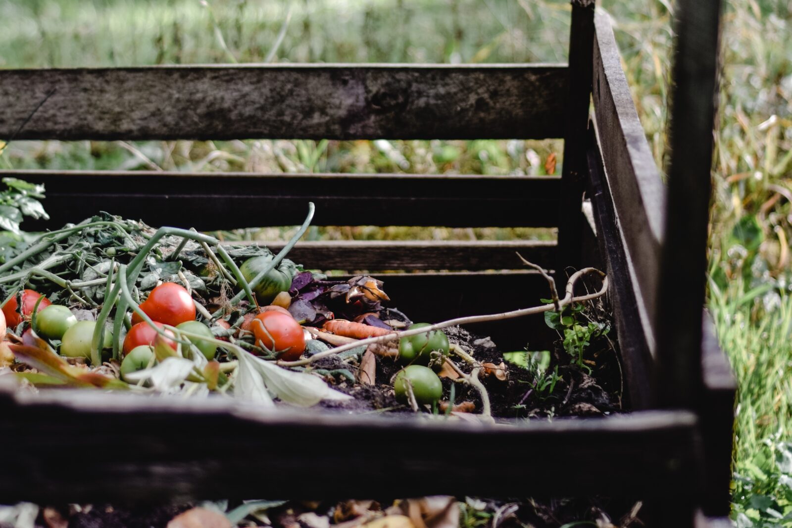 Compost tray