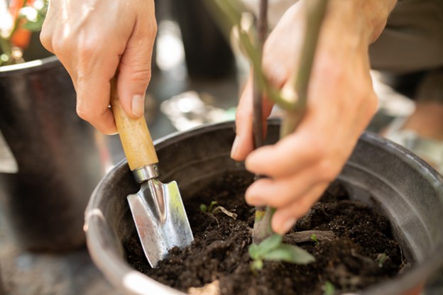 Get to know your garden soil