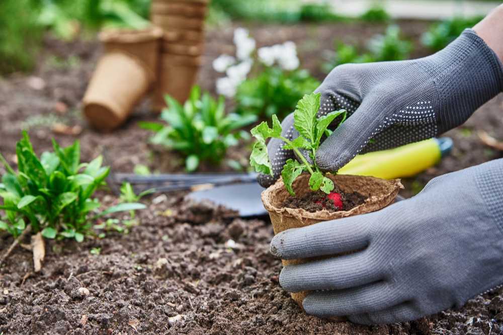 Gardening gives an opportunity to practice environmental awareness and responsibility
