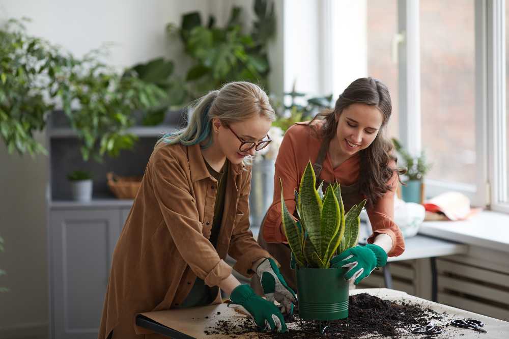 Millennials and Their Newfound Love for Gardening