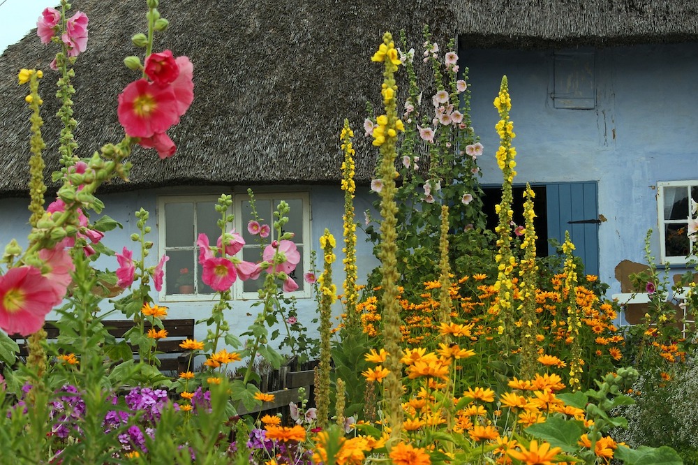 Front yard cottage garden landscape design