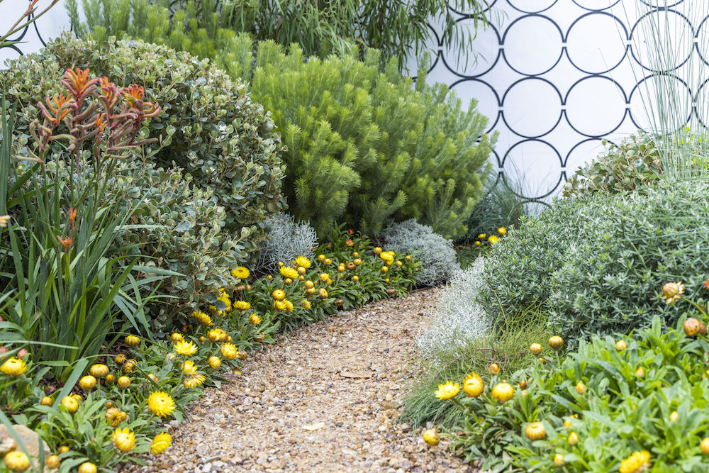 Modern Australian garden design - Althus Landscape Designs - MIFGS 2023