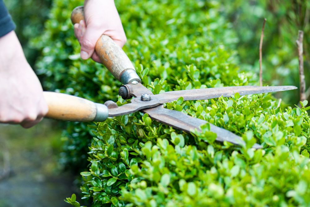 Step-by-Step Guide to Hedging