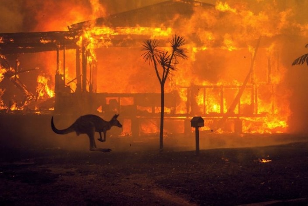 Australian landcape bushfire