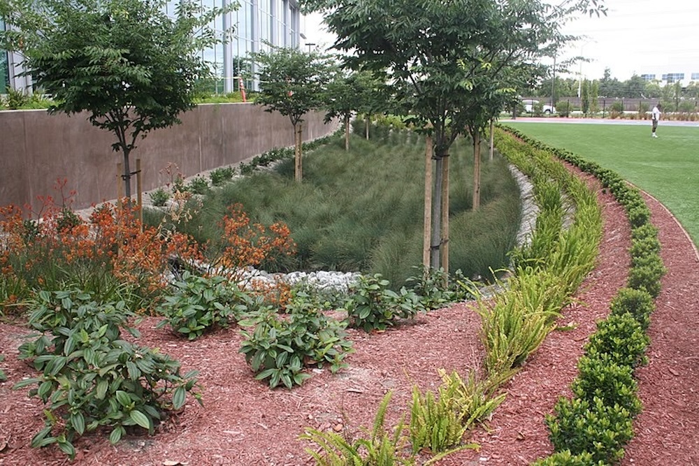 Bioswale planting project for SUDS