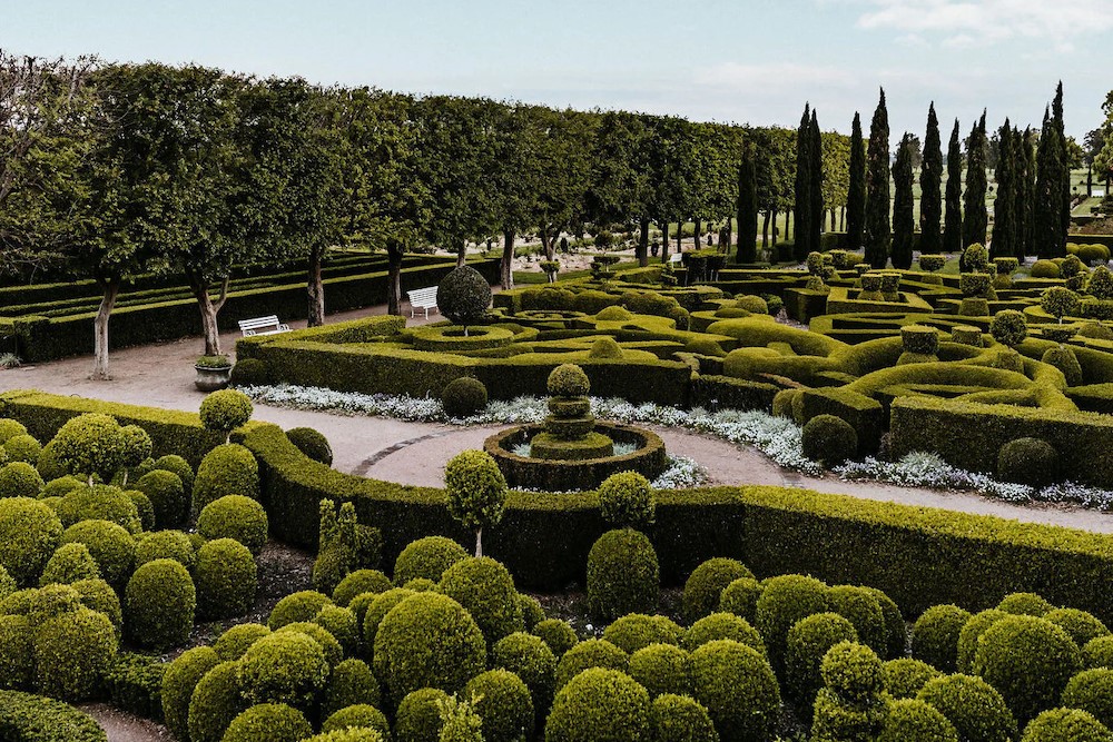 Topiary-manicured-Merribee-Gardens