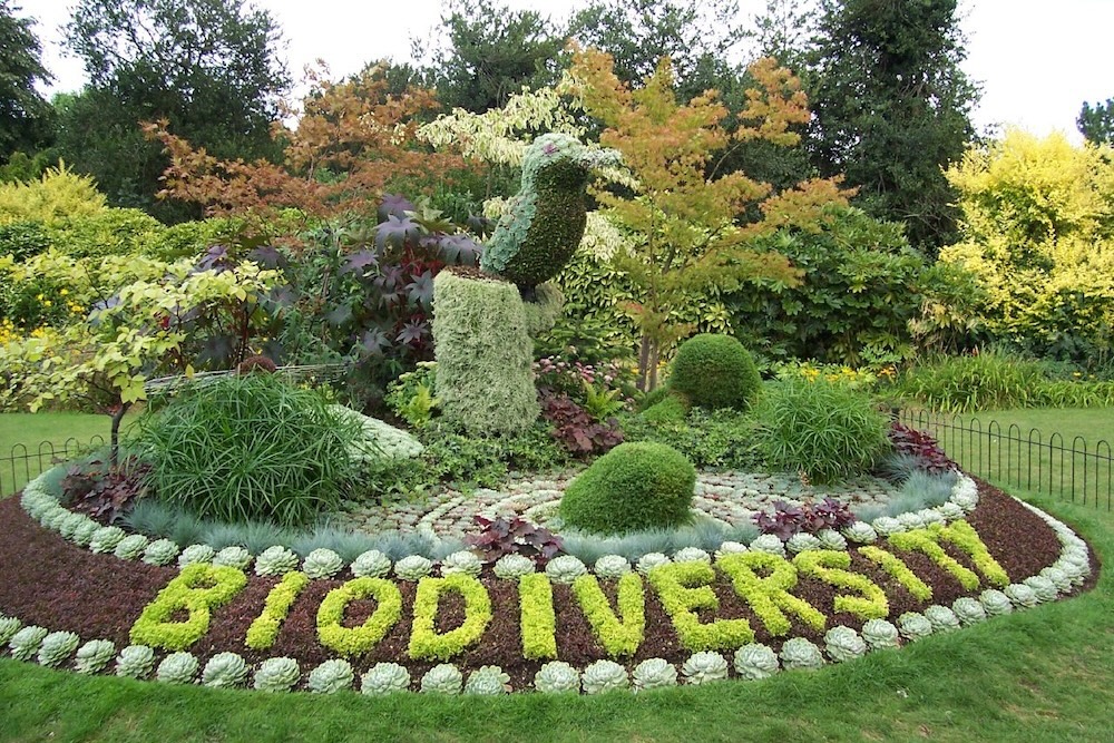 Biodiverse garden is a polyculture